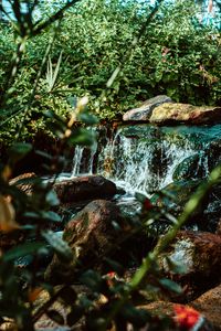 Превью обои водопад, вода, камни, река, кусты