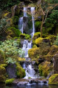 Превью обои водопад, вода, камни, мох, деревья, природа