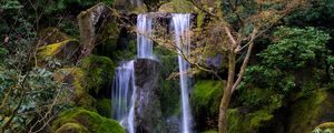 Превью обои водопад, вода, камни, мох, деревья, природа