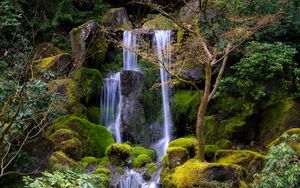 Превью обои водопад, вода, камни, мох, деревья, природа