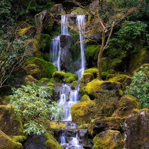 Превью обои водопад, вода, камни, мох, деревья, природа