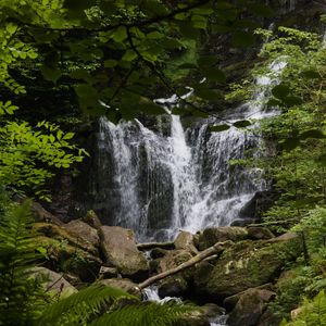 Превью обои водопад, вода, камни, листья, природа, пейзаж