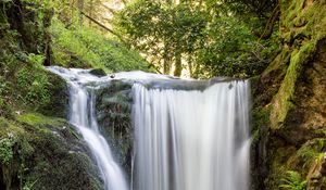 Превью обои водопад, вода, камни, мох, деревья