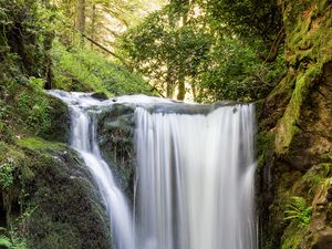 Превью обои водопад, вода, камни, мох, деревья