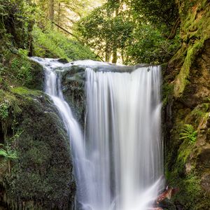 Превью обои водопад, вода, камни, мох, деревья