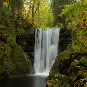 Превью обои водопад, вода, мох, листья, растения