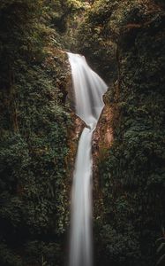 Превью обои водопад, вода, растения, листья, природа