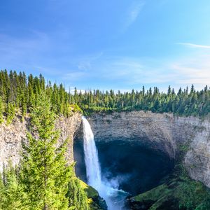 Превью обои водопад, вода, скала, ель, деревья, небо