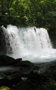 Превью обои водопад, вода, скалы, деревья, пейзаж, природа