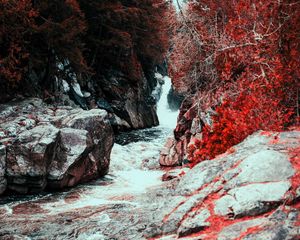 Превью обои водопад, вода, течение, камни, красные листья