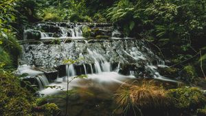 Превью обои водопады, каскад, деревья, вода