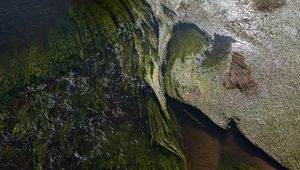 Превью обои водоросли, вода, блики, волны, волнистый