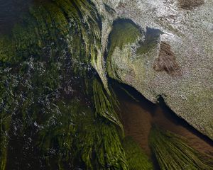 Превью обои водоросли, вода, блики, волны, волнистый