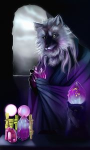 Превью обои волк, алхимик, арт, кристаллы, магия