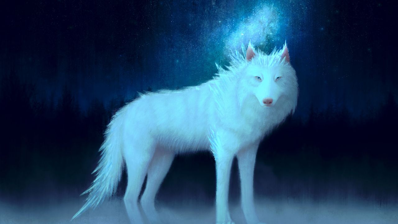 Обои волк, белый, арт, животное