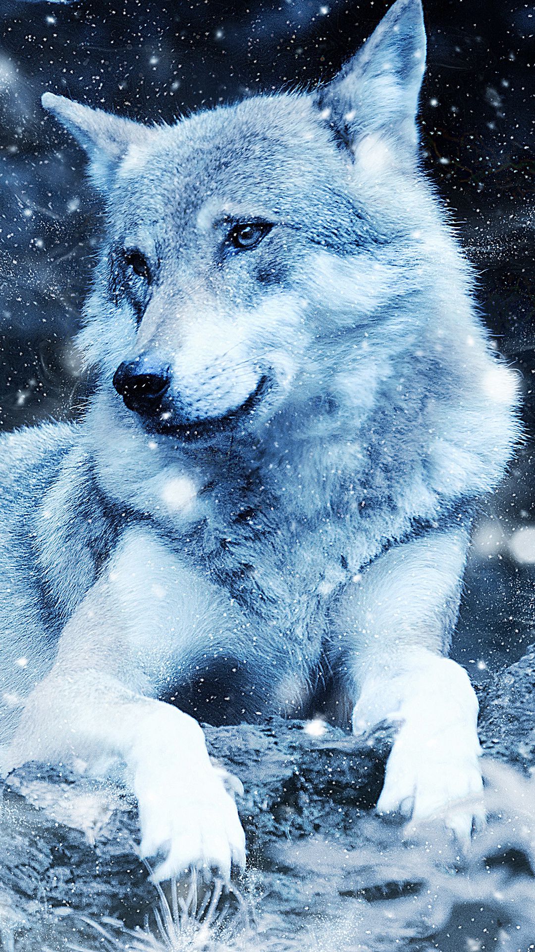 Волков про телефон. Красивый волк. Волк картинки на телефон. Заставка на телефон волк. Снежный волк.