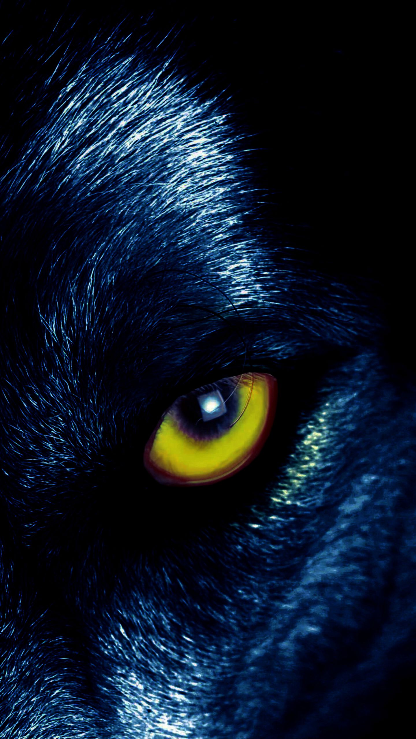 картинки волчьего глаза
