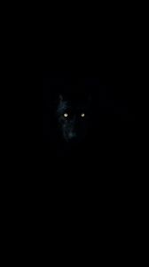 Превью обои волк, глаза, темнота, темный, животное