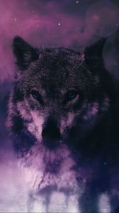 Превью обои волк, хищник, дикая природа, фотошоп, взгляд