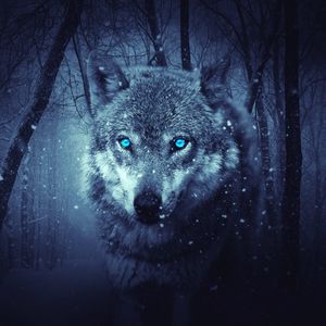 Превью обои волк, хищник, фотошоп, арт