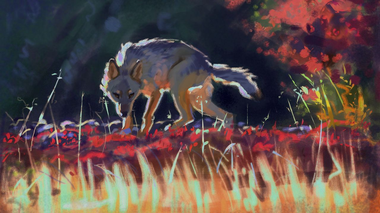 Обои волк, хищник, трава, дикая природа, арт