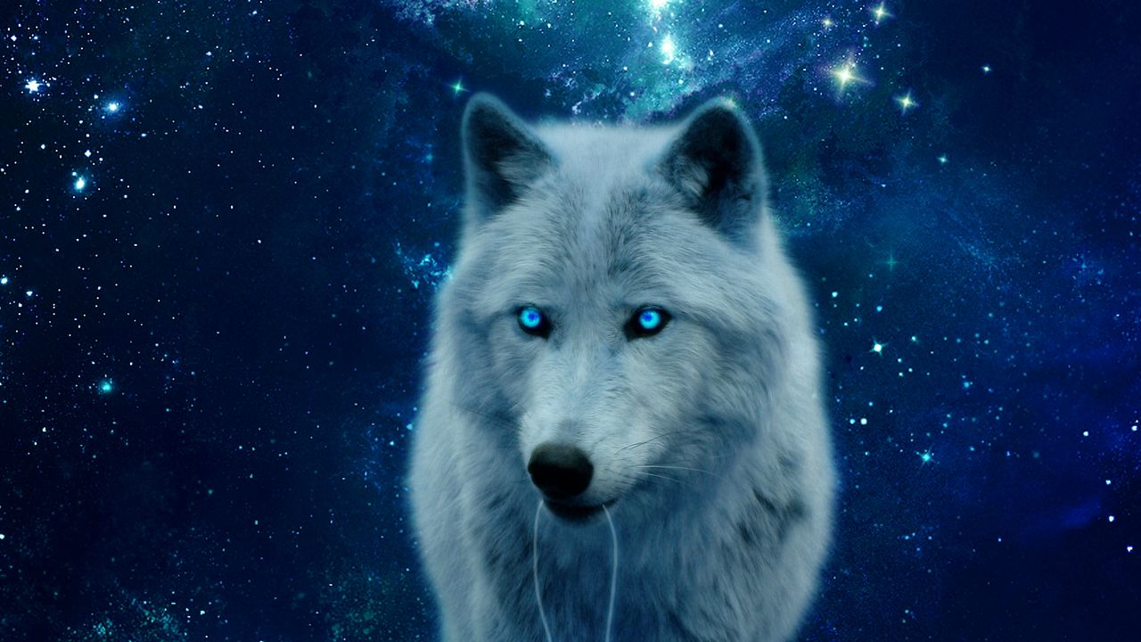 Обои синий волк