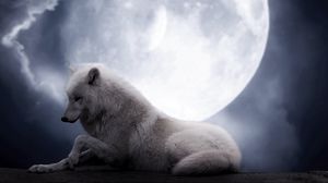 Превью обои волк, луна, лежать, хищник