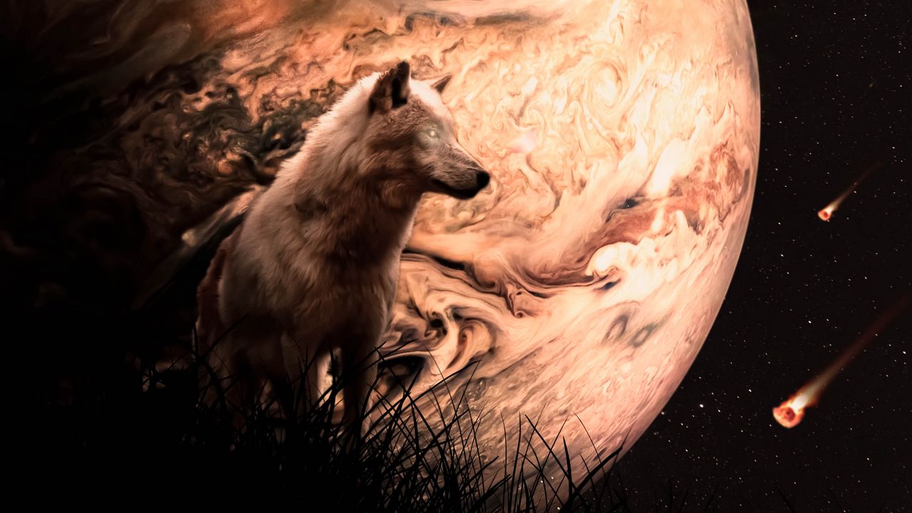 Обои волк, планета, метеоры, космос