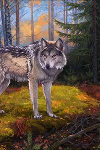 Превью обои волк, серый, лес, дикая природа, арт