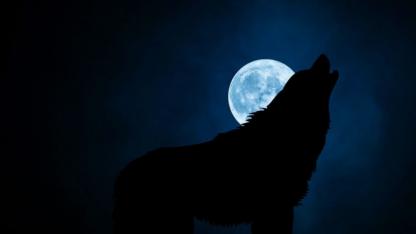 1366x768 Обои волк, силуэт, луна, ночь