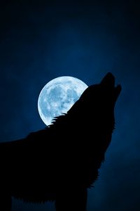 Превью обои волк, силуэт, луна, ночь