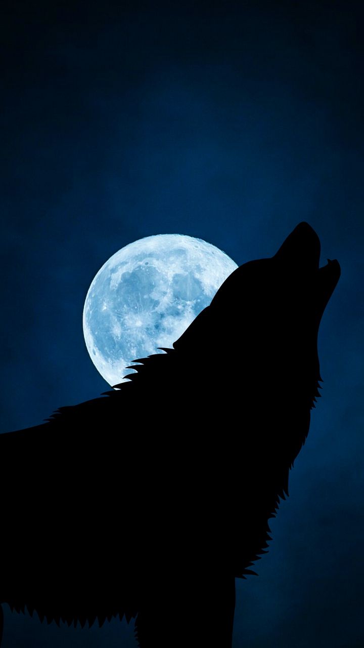 720x1280 Обои волк, силуэт, луна, ночь