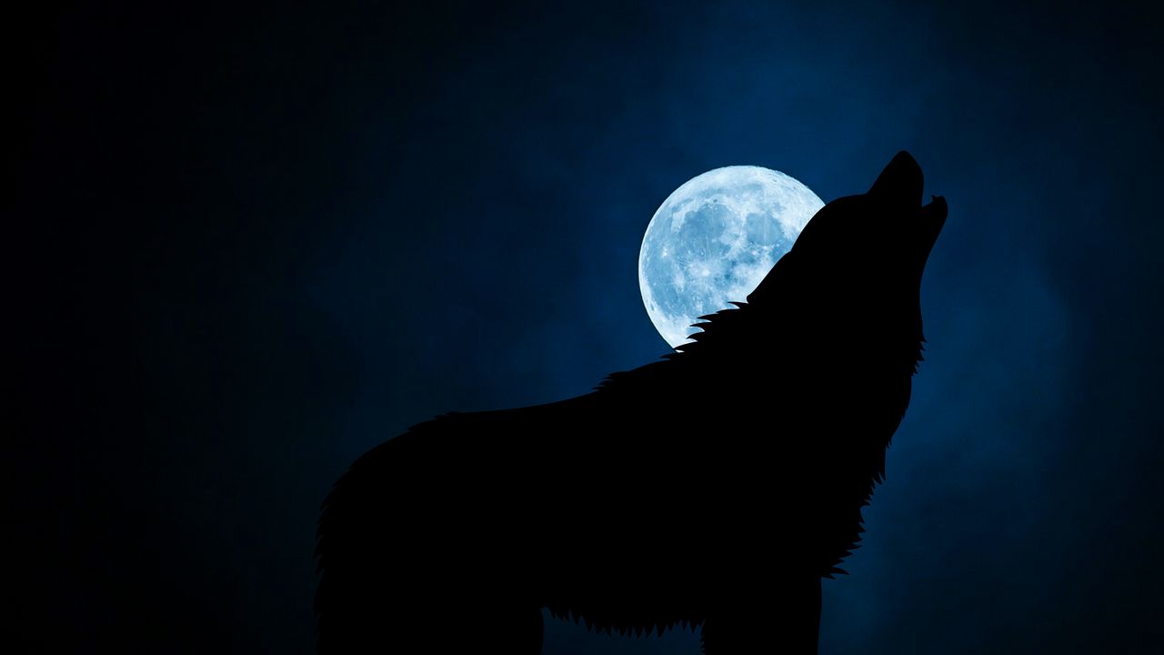 1280x720 Обои волк, силуэт, луна, ночь