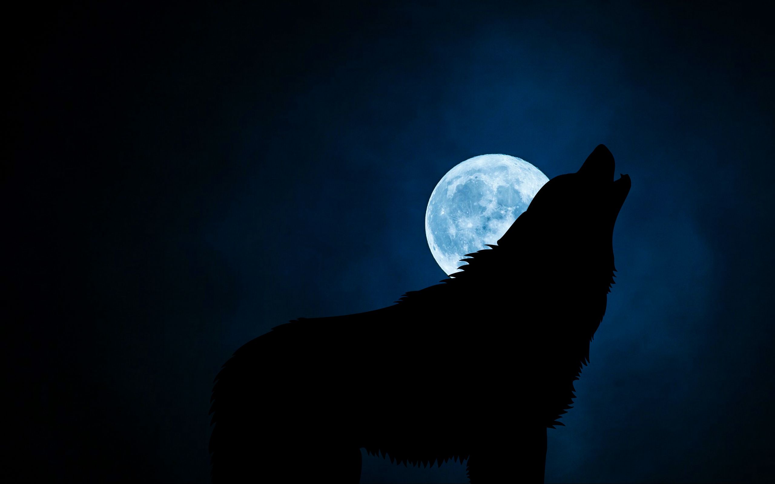 2560x1600 волк, силуэт, луна, ночь обои 16:10.