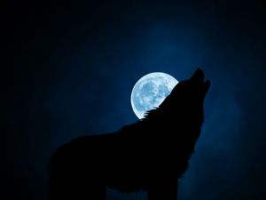 Превью обои волк, силуэт, луна, ночь