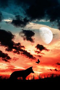 Превью обои волк, силуэт, темный, луна, облака, бабочка