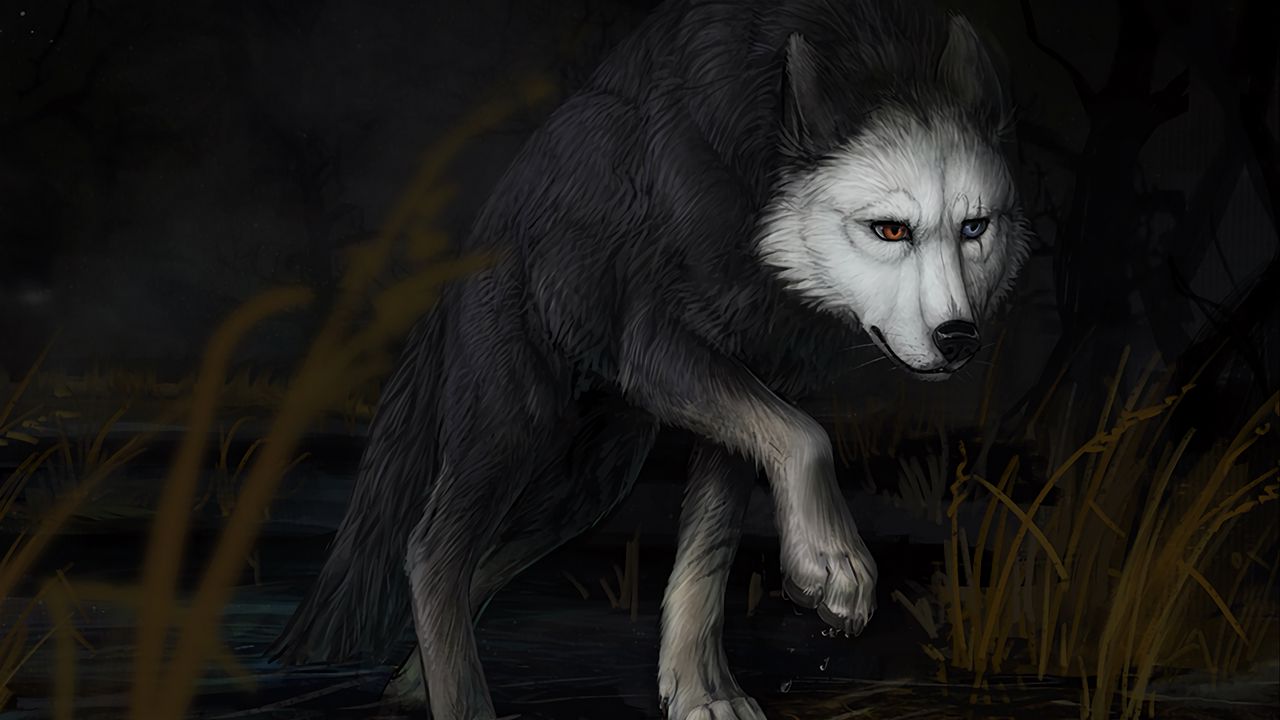 Обои волк, вода, темнота, арт