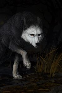 Превью обои волк, вода, темнота, арт