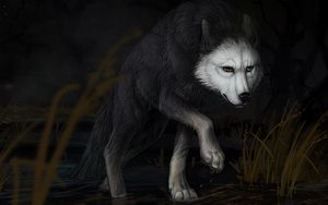 Превью обои волк, вода, темнота, арт