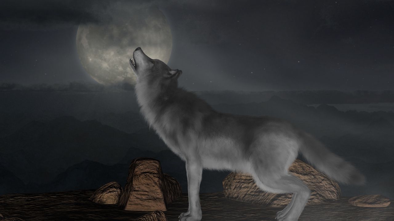 Обои волк, вой, луна, полнолуние