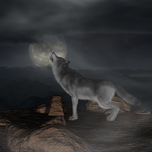 Превью обои волк, вой, луна, полнолуние