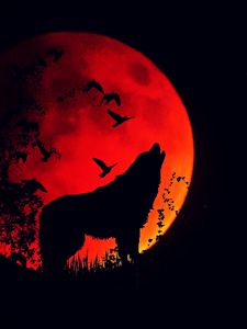 Превью обои волк, вой, силуэт, полнолуние, огненная луна