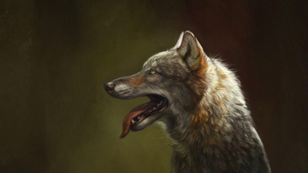 Обои волк, высунутый язык, арт