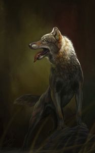 Превью обои волк, высунутый язык, арт