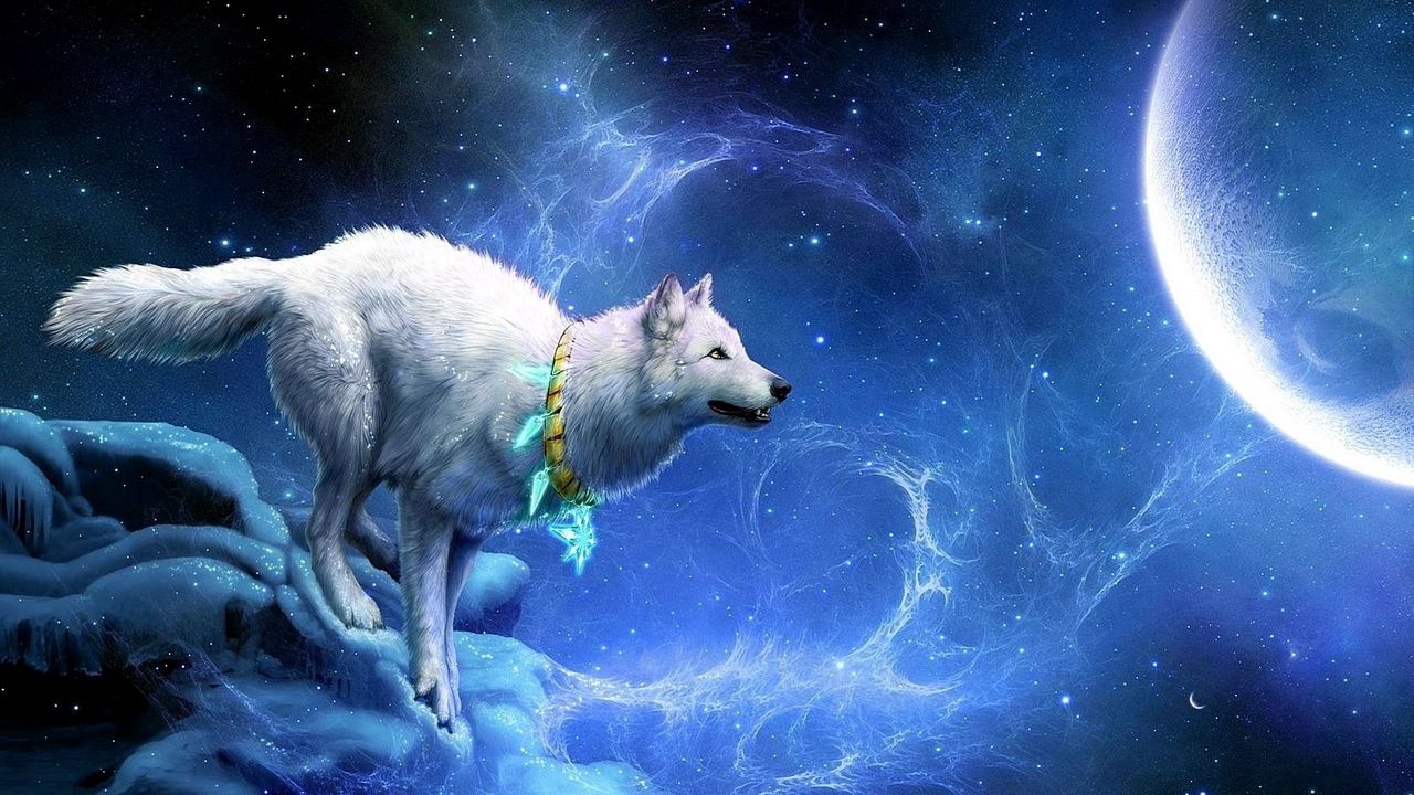 Обои волк, заезды, луна, обрыв