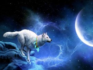 Превью обои волк, заезды, луна, обрыв