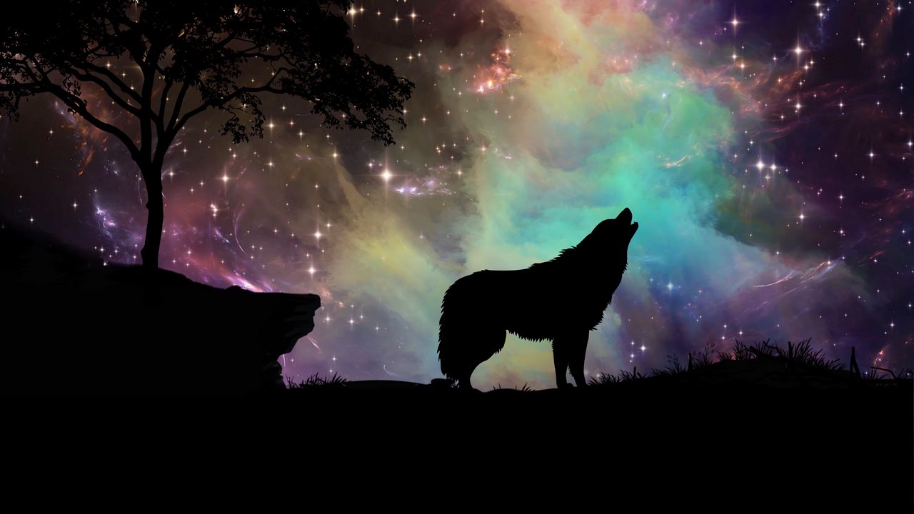 Обои волк, звездное небо, силуэт, арт