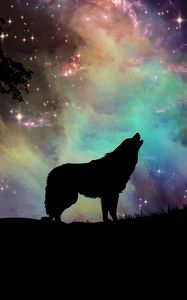 Превью обои волк, звездное небо, силуэт, арт