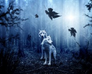 Превью обои волки, хищники, лес, фотошоп