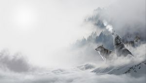 Превью обои волки, хищники, снег, зима, завывание